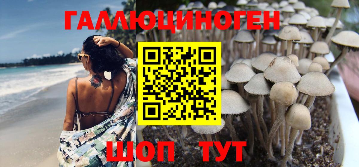 Псилоцибиновые грибы MAGIC MUSHROOMS  Вход с VPN  Джанкой  Псилоцибиновые грибы Magic Shrooms 